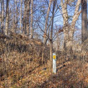 09-009-Chatham-Parcel-13882-20250102