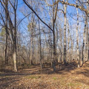 10-010-Chatham-Parcel-13882-20250102