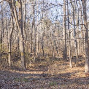 11-011-Chatham-Parcel-13882-20250102