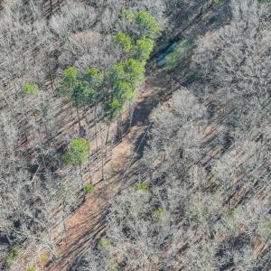 17-017-Chatham-Parcel-13882-20250102