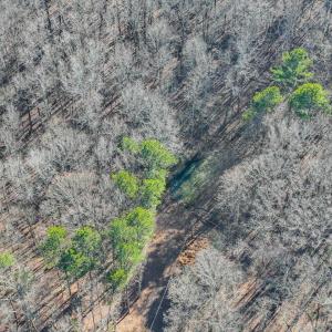 18-018-Chatham-Parcel-13882-20250102