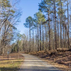 22-022-Chatham-Parcel-13882-20250102