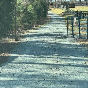 Driveway to land go through gate