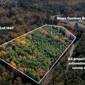 17-web-or-mls-3191 Bruce Garner Rd (4 of
