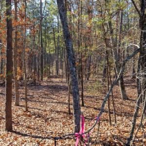 29-029-Tract1-RobedoRd-MontgomeryCounty-