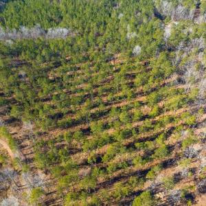 07-007-Tract1-RobedoRd-MontgomeryCounty-