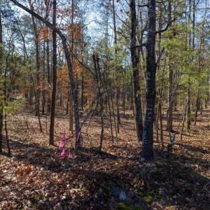 15-015-Tract1-RobedoRd-MontgomeryCounty-