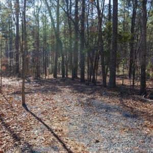 20-020-Tract1-RobedoRd-MontgomeryCounty-