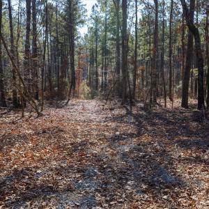 21-021-Tract1-RobedoRd-MontgomeryCounty-