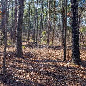 23-023-Tract1-RobedoRd-MontgomeryCounty-