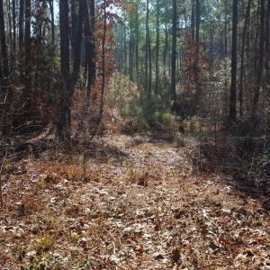 25-025-Tract1-RobedoRd-MontgomeryCounty-