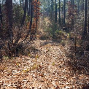 26-026-Tract1-RobedoRd-MontgomeryCounty-