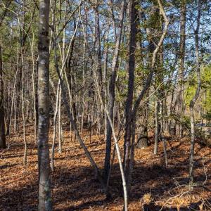 27-027-Tract1-RobedoRd-MontgomeryCounty-