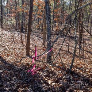 20-020-Tract2-RobedoRd-MontgomeryCounty-