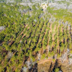 08-008-Tract2-RobedoRd-MontgomeryCounty-