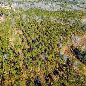 10-010-Tract2-RobedoRd-MontgomeryCounty-