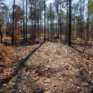 23-023-Tract2-RobedoRd-MontgomeryCounty-