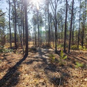 24-024-Tract2-RobedoRd-MontgomeryCounty-