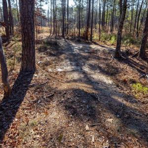 25-025-Tract2-RobedoRd-MontgomeryCounty-