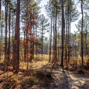 27-027-Tract2-RobedoRd-MontgomeryCounty-