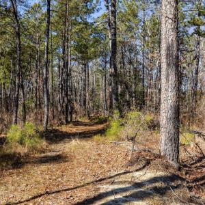 28-028-Tract2-RobedoRd-MontgomeryCounty-