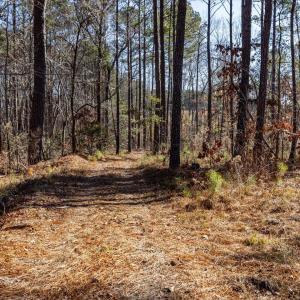 29-029-Tract2-RobedoRd-MontgomeryCounty-