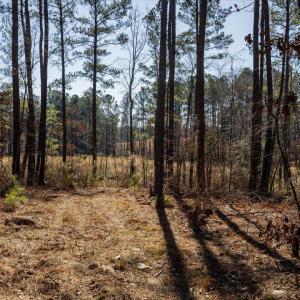 30-030-Tract2-RobedoRd-MontgomeryCounty-