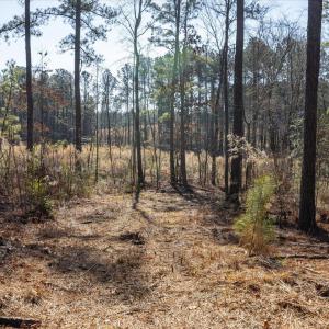 31-031-Tract2-RobedoRd-MontgomeryCounty-