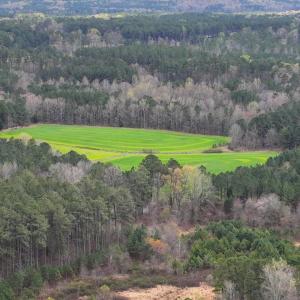 25-025-ChathamParcel-17926-20220325