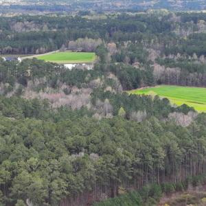 26-026-ChathamParcel-17926-20220325