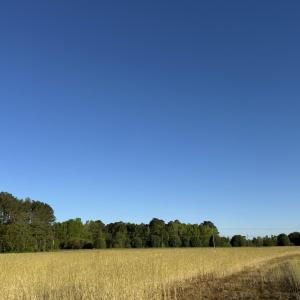 IMG_1548