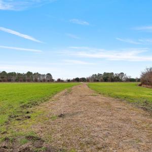 6-web-or-mls-P1331295