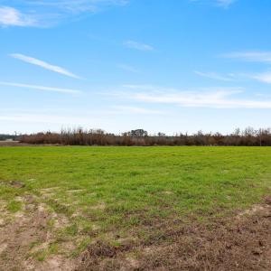 11-web-or-mls-P1331325