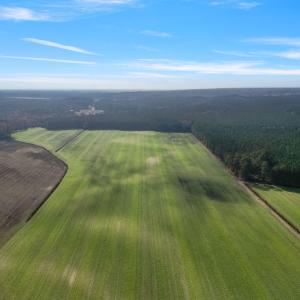 16-web-or-mls-DJI_0881