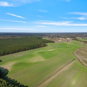 19-web-or-mls-DJI_0888