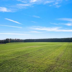 26-web-or-mls-DJI_0895