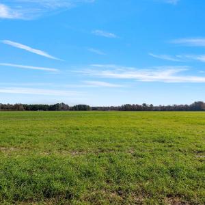 29-web-or-mls-P1331175