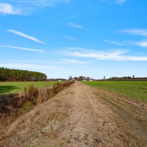 31-web-or-mls-P1331185