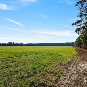 32-web-or-mls-P1331195