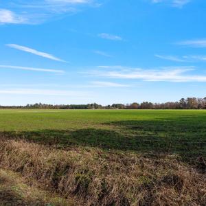 33-web-or-mls-P1331215