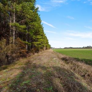 34-web-or-mls-P1331220