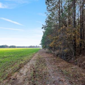 36-web-or-mls-P1331235