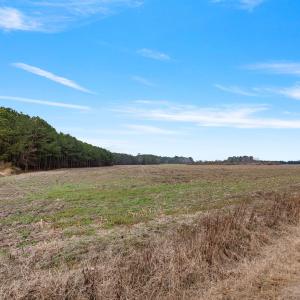 37-web-or-mls-P1331240