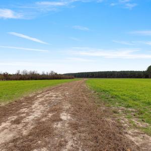 43-web-or-mls-P1331320