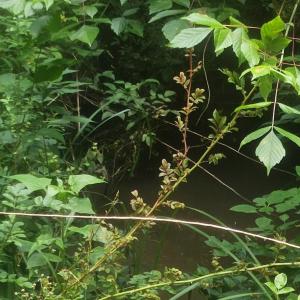 Screenshot 2024-11-04 at 9.32.41AM