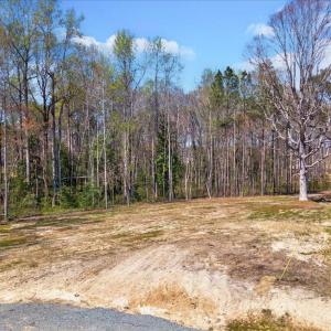 01-Lakewood Road Development-1