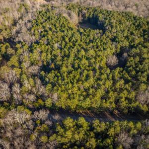 DJI_0352