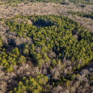 DJI_0353