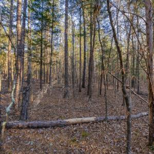 DSC08806-HDR