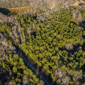 DJI_0351